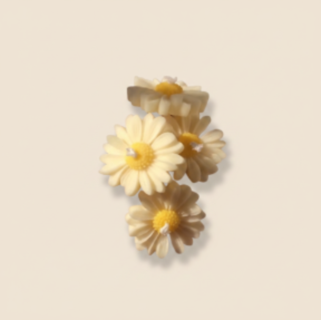 Sunny Blooms